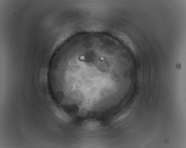 X0000094910491200711291259