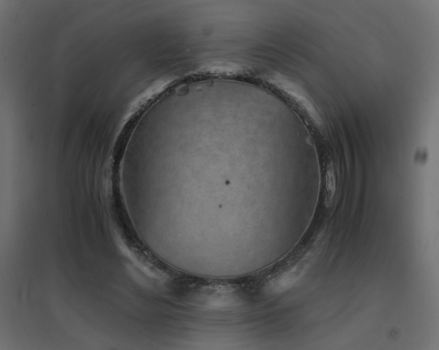 X0000094910492200711291259