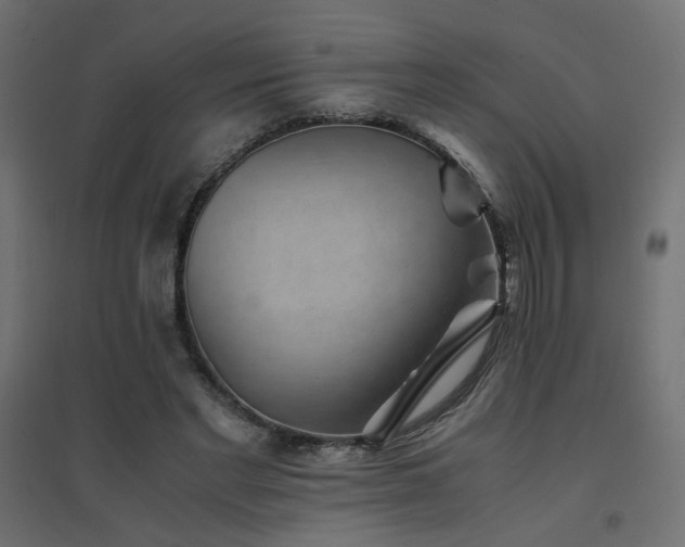 X0000094910493200711291259
