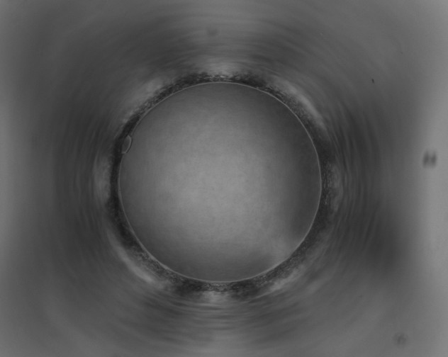 X0000094910496200711291259