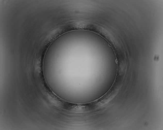 X0000094910497200711291259