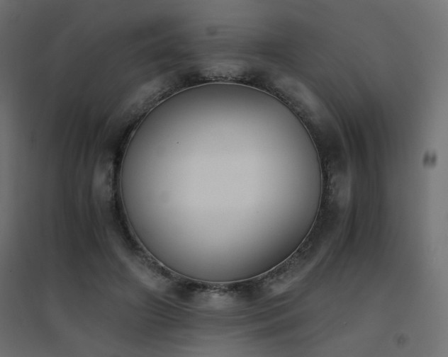 X0000094910498200711291259