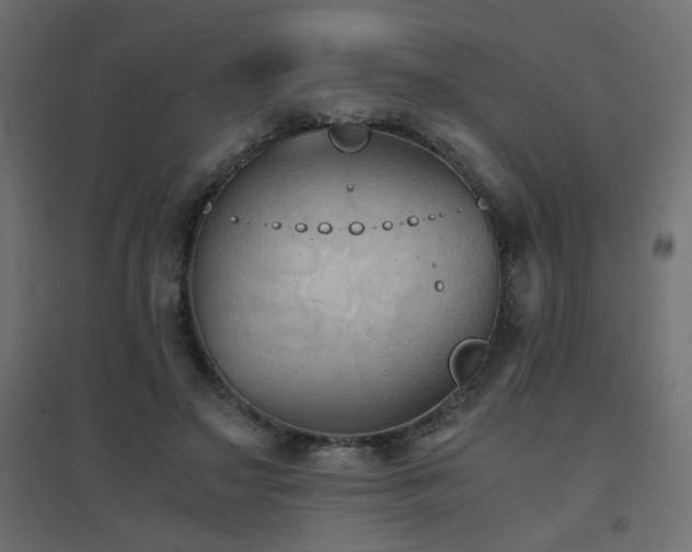 X0000094910499200711291259
