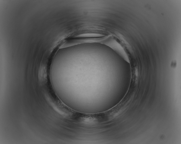 X0000094910500200711291259