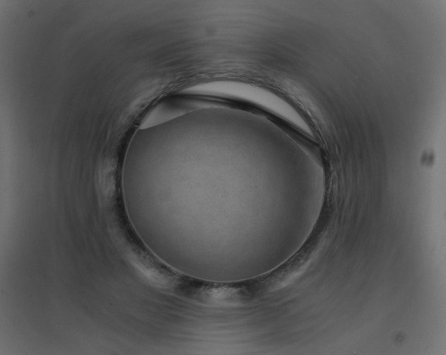 X0000094910501200711291259