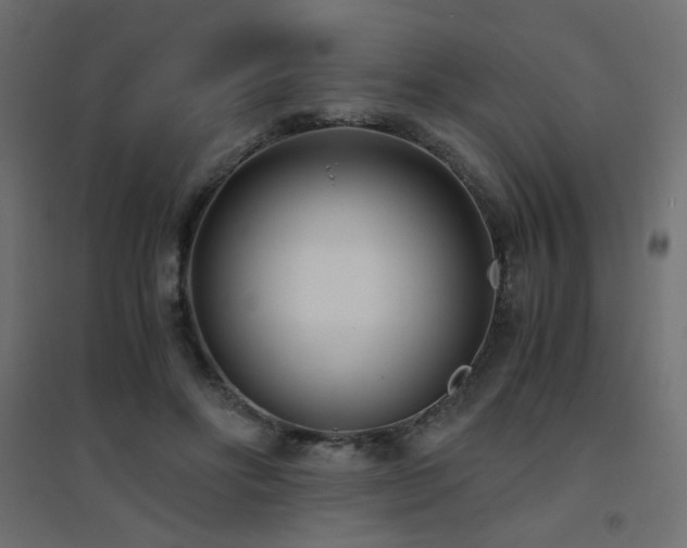 X0000094910502200711291259