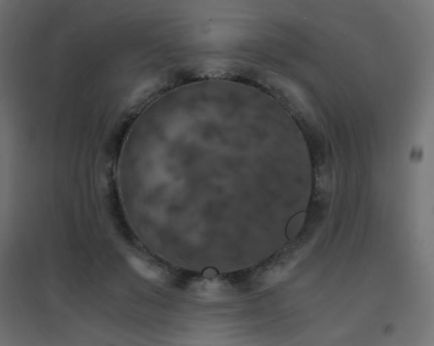 X0000094910503200711291259