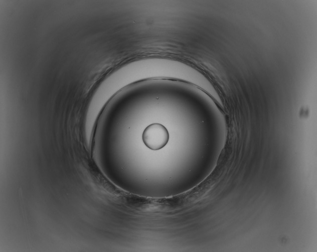 X0000094910504200711291259