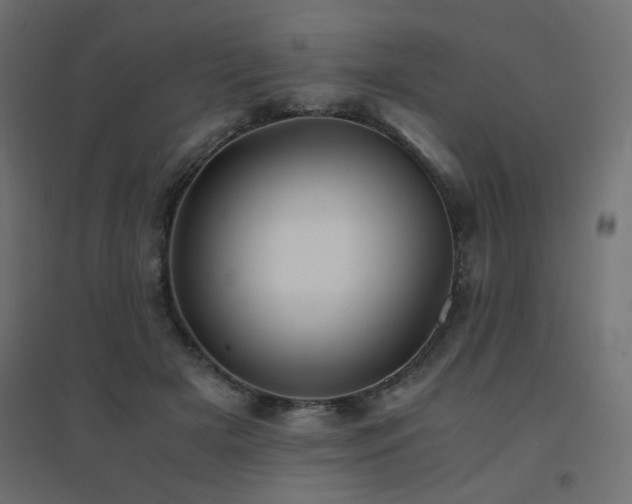 X0000094910505200711291259