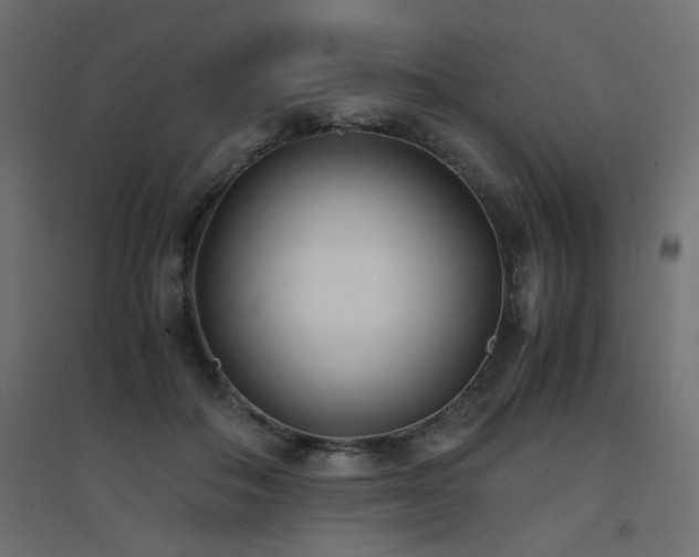 X0000094910506200711291259