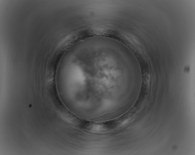 X0000094910507200711291259