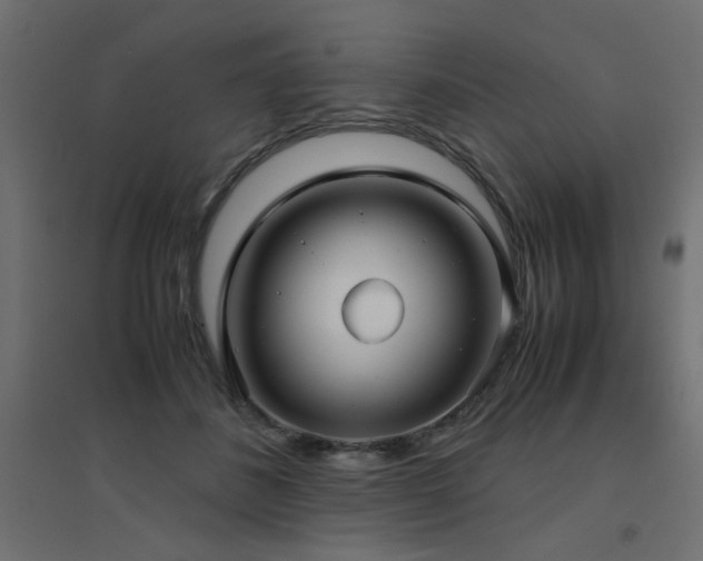 X0000094910508200711291259