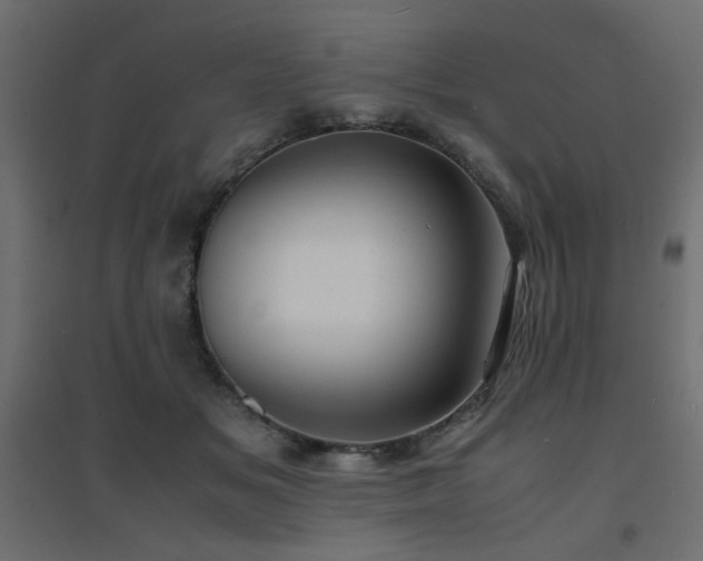 X0000094910509200711291259