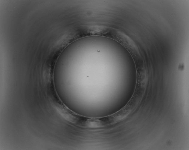 X0000094910510200711291259
