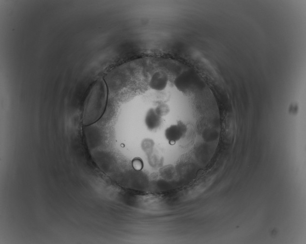 X0000094910511200711291259