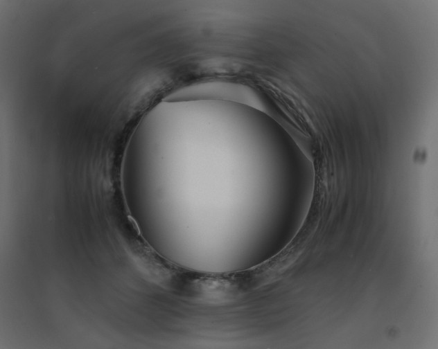 X0000094910512200711291259
