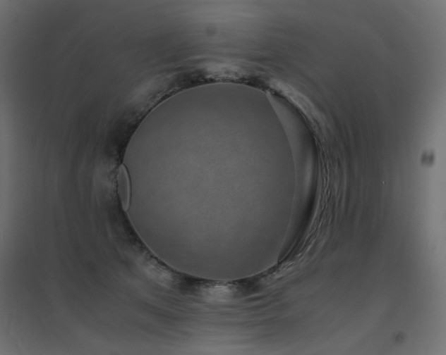 X0000094910513200711291259
