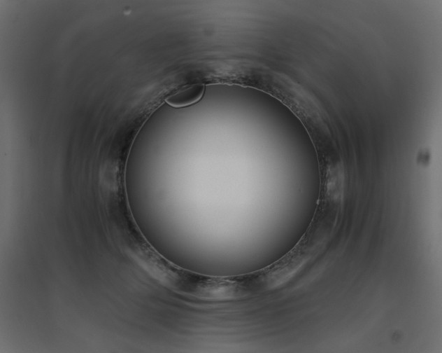 X0000094910514200711291259