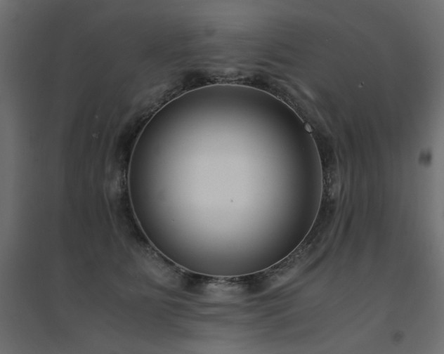X0000094910515200711291259