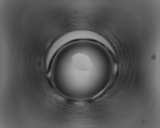 X0000094910516200711291259