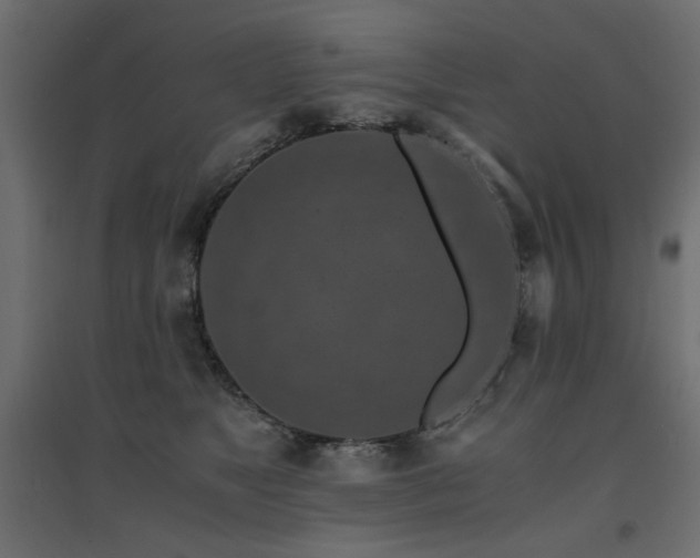 X0000094910517200711291259