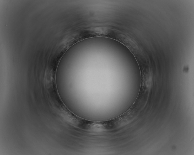 X0000094910518200711291259