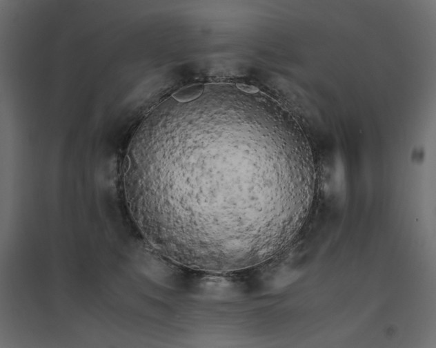 X0000094910519200711291259