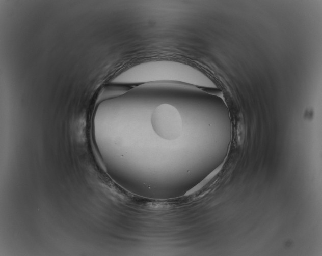 X0000094910520200711291258