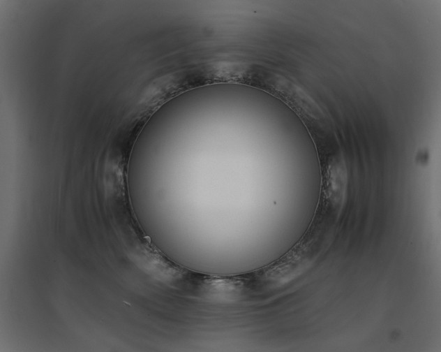 X0000094910522200711291258