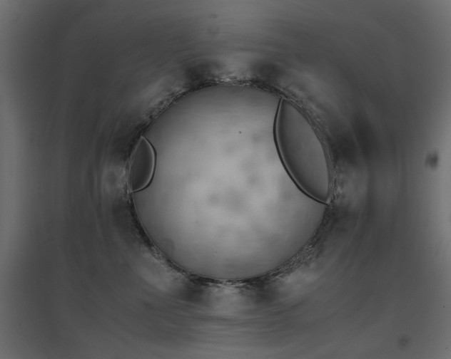 X0000094910523200711291258