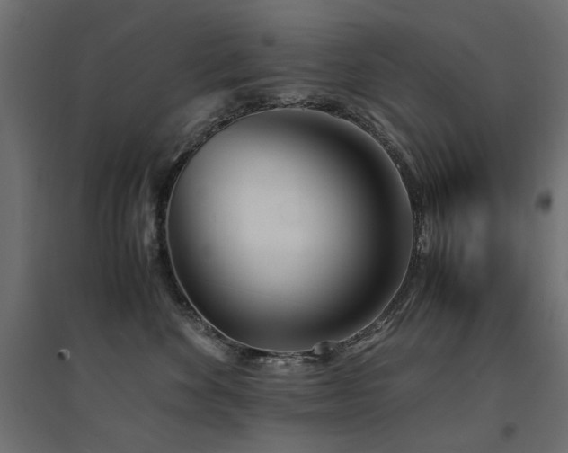 X0000094910524200711291258