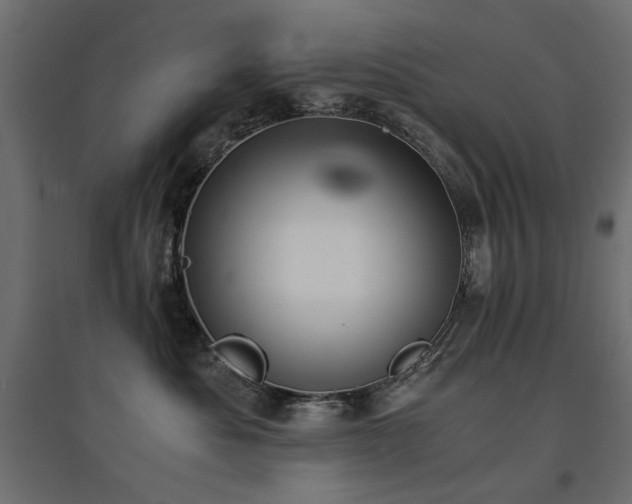 X0000094910525200711291258