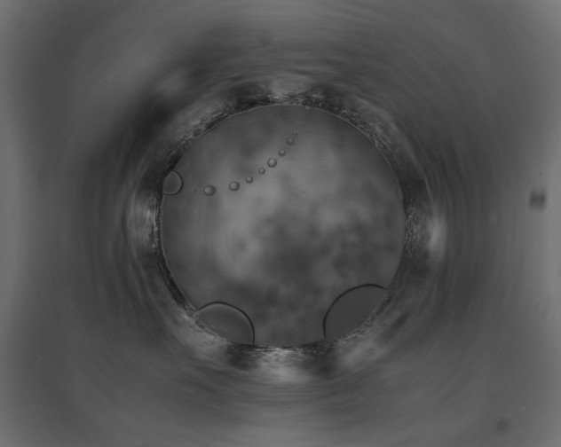 X0000094910527200711291258