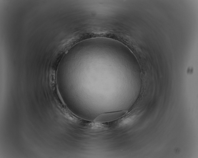 X0000094910528200711291258