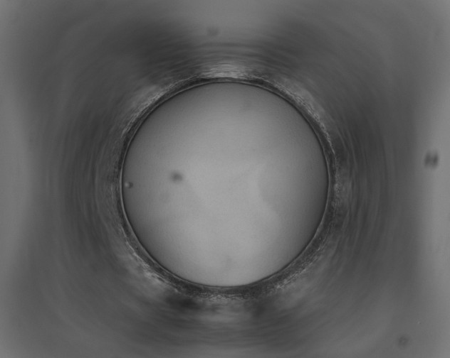 X0000094910529200711291258