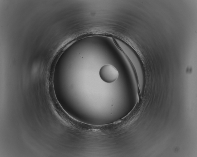 X0000094910530200711291258