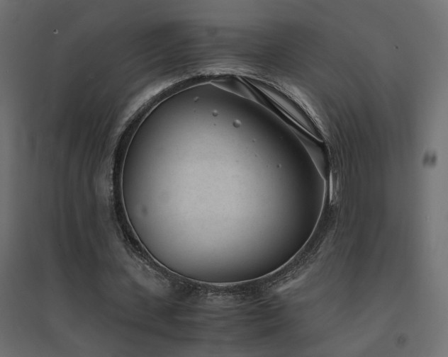 X0000094910531200711291258