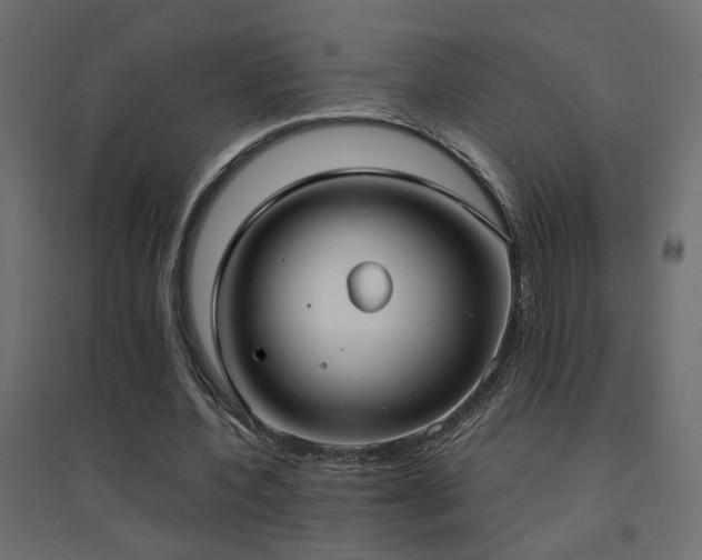 X0000094910532200711291258