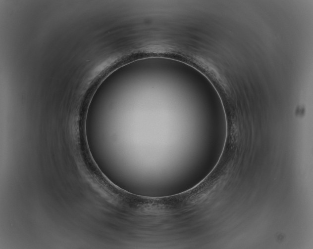 X0000094910535200711291258