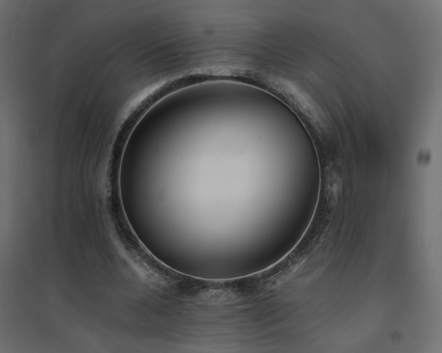 X0000094910536200711291258