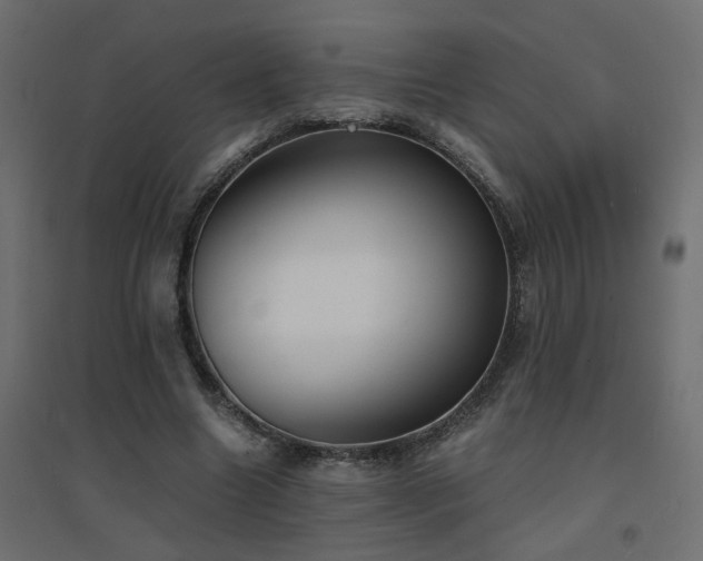 X0000094910538200711291258