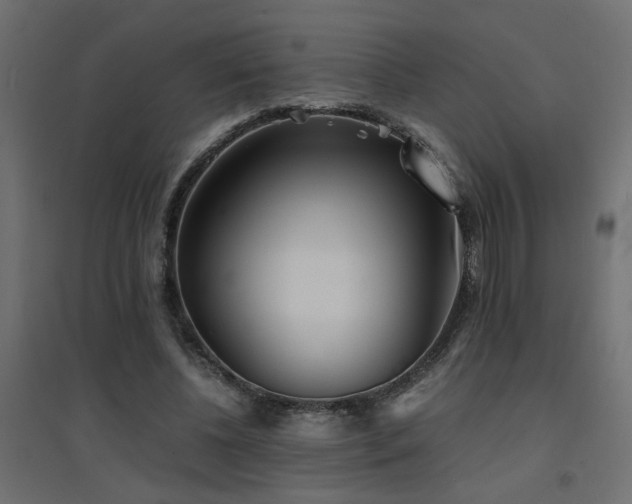 X0000094910540200711291258