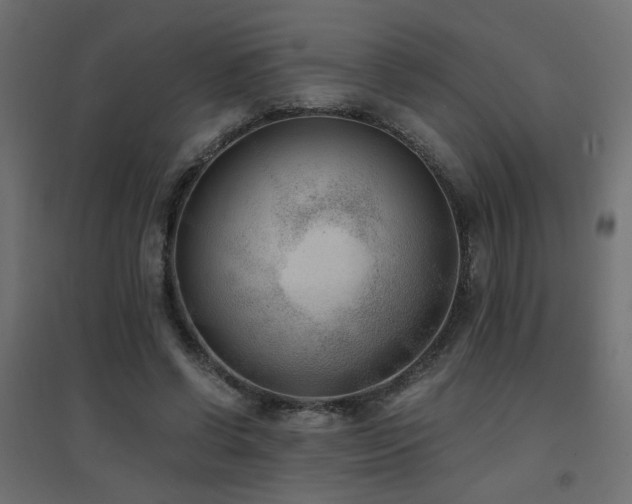 X0000094910542200711291258