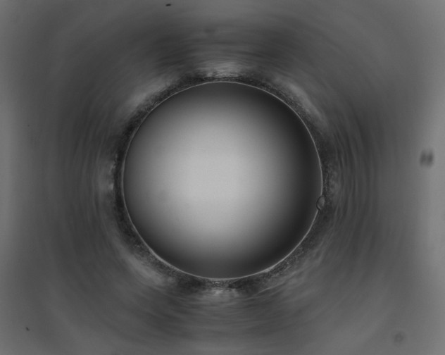 X0000094910543200711291258
