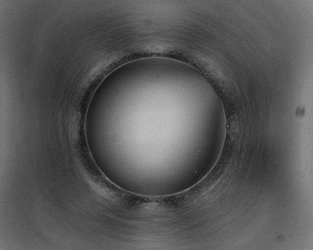 X0000094910544200711291258