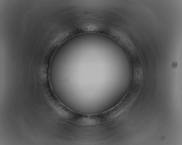 X0000094910545200711291258