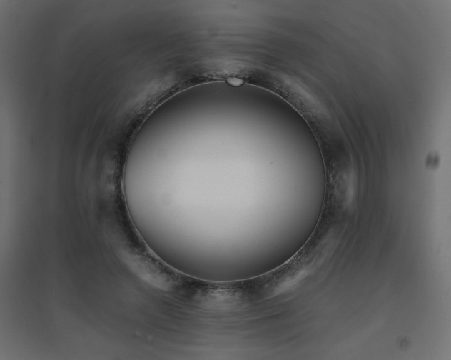X0000094910546200711291258