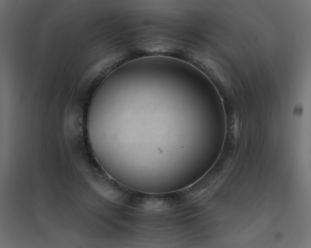 X0000094910547200711291258