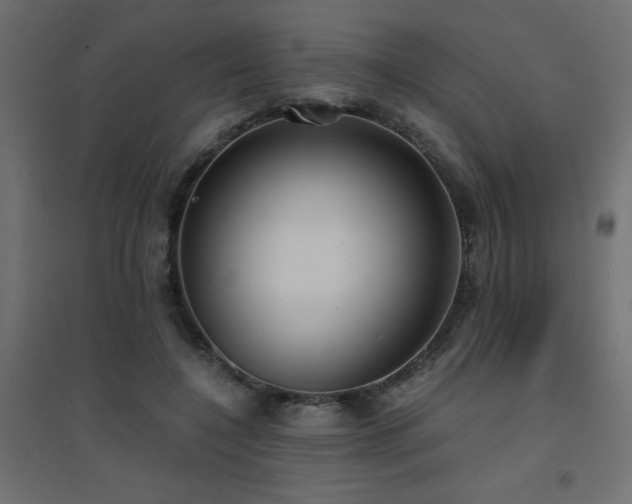 X0000094910548200711291258