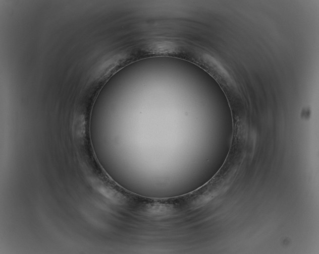 X0000094910549200711291258